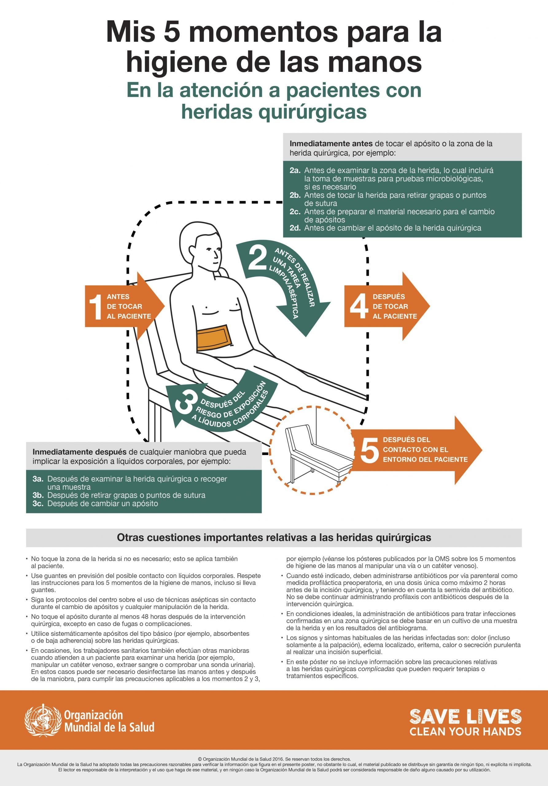 Posters adhesivos lavables OMS - 5 momentos para la higiene de las manos, equipamiento clínico