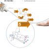Posters adhesivos lavables OMS - 5 Momentos para cambiar el mundo, equipamiento clínico
