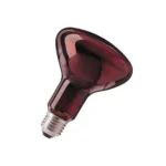 Bombilla infrarrojos 100 W - 230 v.