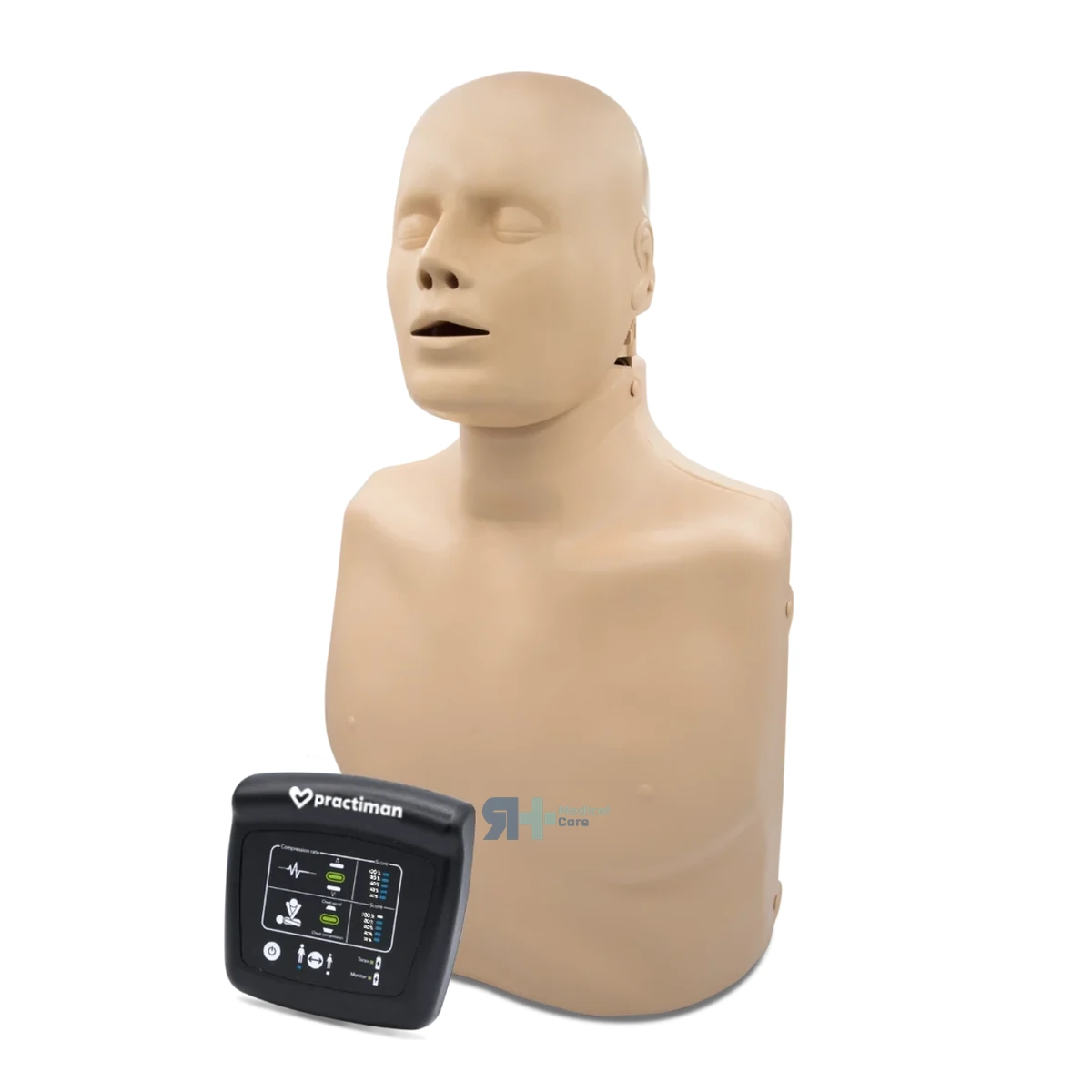 Torso de Formación RCP Plus Adulto